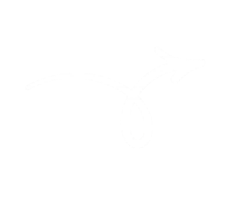 Enter